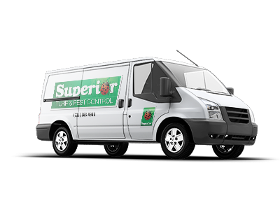 company van